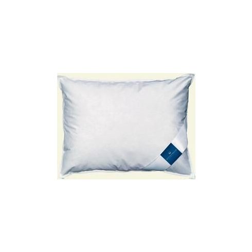Billerbeck ALEXA lúdtoll és pehely párna, 70x90 cm nagypárna