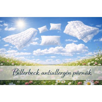 Billerbeck antiallergén párna