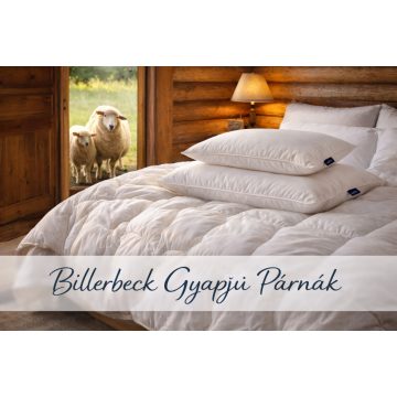 Billerbeck gyapjú párna