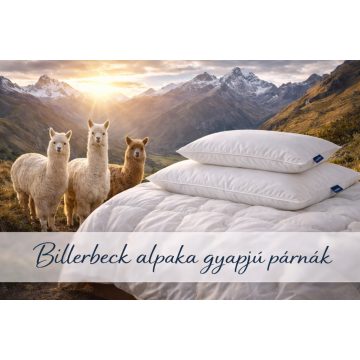Billerbeck alpaka gyapjú párna