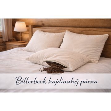 Billerbeck hajdinahéj párna