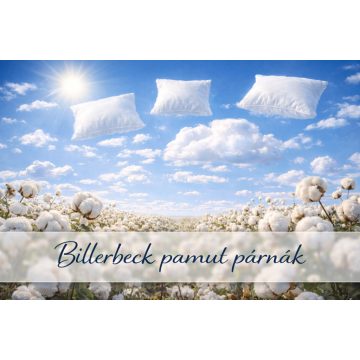Billerbeck pamut párna