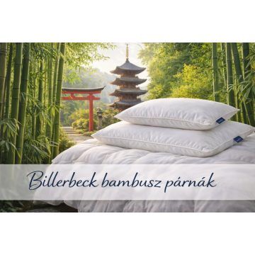 Billerbeck bambusz párna