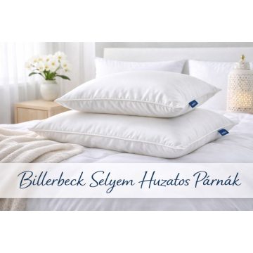 Billerbeck párna selyem huzatban