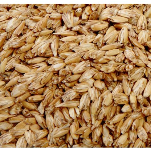 Prana Luxury tönkölyhéj párna, 30x40 cm