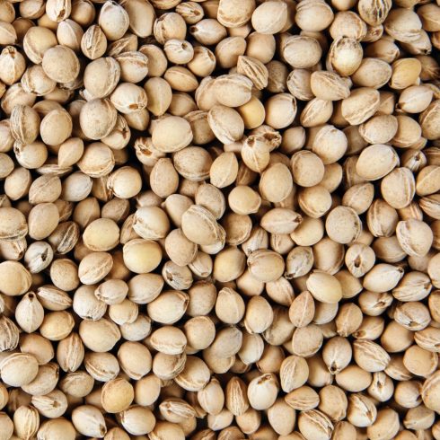 Meggymag párna25x30 cm