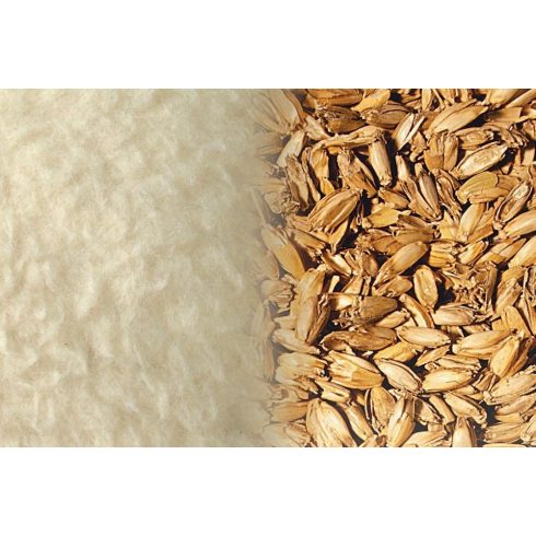 Prána prémium Tönkölyhéj párna, 30x40 cm, pamut + merinói gyapjú